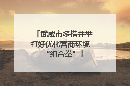 武威市多措并举打好优化营商环境“组合拳”