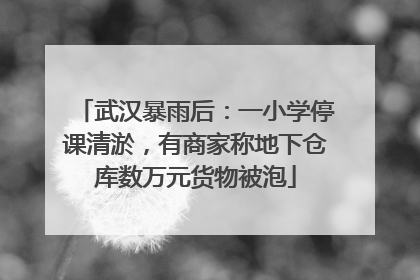 武汉暴雨后：一小学停课清淤，有商家称地下仓库数万元货物被泡