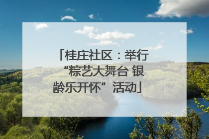 桂庄社区：举行“粽艺大舞台 银龄乐开怀”活动