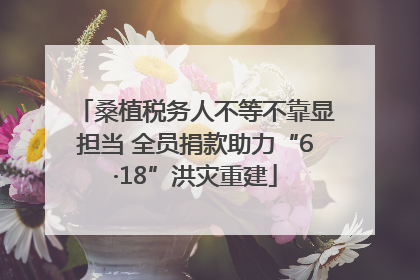 桑植税务人不等不靠显担当 全员捐款助力“6·18”洪灾重建