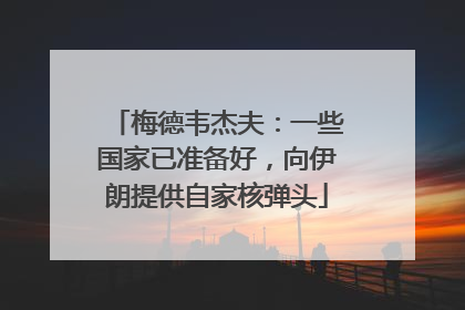 梅德韦杰夫：一些国家已准备好，向伊朗提供自家核弹头