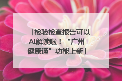 检验检查报告可以AI解读啦！“广州健康通”功能上新