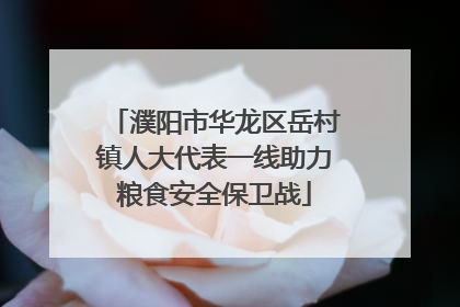 濮阳市华龙区岳村镇人大代表一线助力粮食安全保卫战