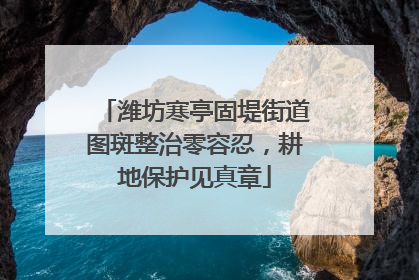 潍坊寒亭固堤街道图斑整治零容忍，耕地保护见真章