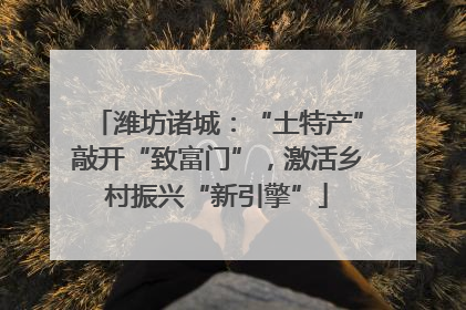潍坊诸城：“土特产”敲开“致富门”，激活乡村振兴“新引擎”