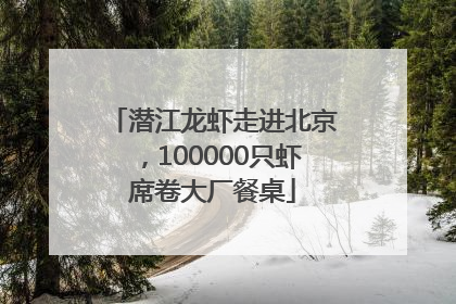 潜江龙虾走进北京，100000只虾席卷大厂餐桌