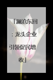 澜沧东回：龙头企业引领促民增收
