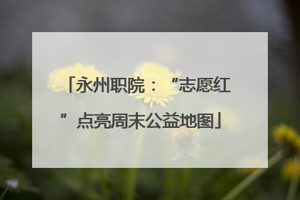 永州职院：“志愿红”点亮周末公益地图
