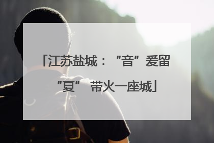 江苏盐城：“音”爱留“夏” 带火一座城