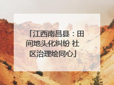 江西南昌县：田间地头化纠纷 社区治理绘同心