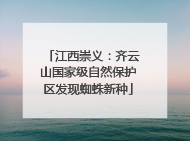 江西崇义：齐云山国家级自然保护区发现蜘蛛新种