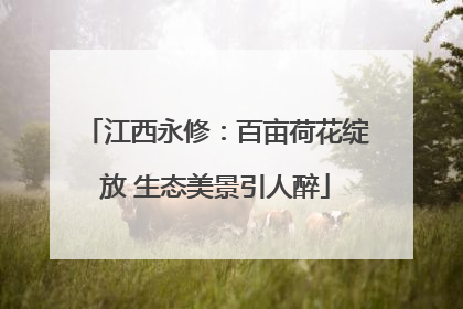 江西永修：百亩荷花绽放 生态美景引人醉
