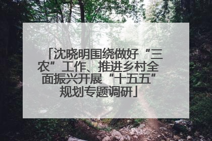 沈晓明围绕做好“三农”工作、推进乡村全面振兴开展“十五五”规划专题调研