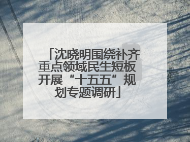 沈晓明围绕补齐重点领域民生短板开展“十五五”规划专题调研