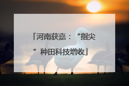 河南获嘉：“指尖”种田科技增收