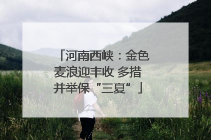 河南西峡：金色麦浪迎丰收 多措并举保“三夏”