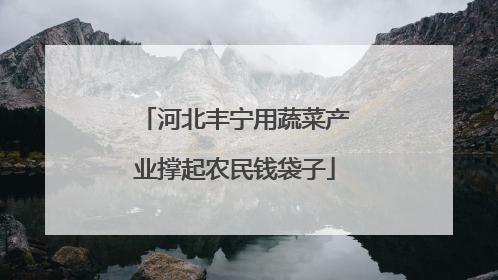 河北丰宁用蔬菜产业撑起农民钱袋子