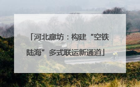 河北廊坊：构建“空铁陆海”多式联运新通道