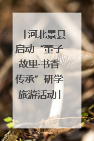 河北景县启动“董子故里·书香传承”研学旅游活动