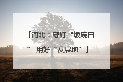 河北：守好“饭碗田” 用好“发展地”