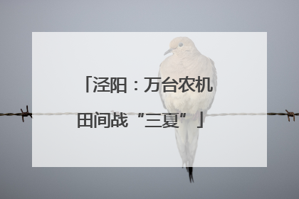 泾阳：万台农机田间战“三夏”