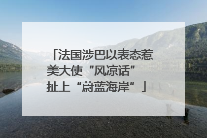 法国涉巴以表态惹美大使“风凉话” 扯上“蔚蓝海岸”