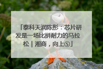 泰科天润陈彤：芯片研发是一场比拼耐力的马拉松｜湘商，向上⑤