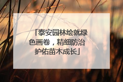 泰安园林绘就绿色画卷，精细防治护佑苗木成长