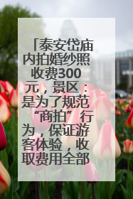 泰安岱庙内拍婚纱照收费300元，景区：是为了规范“商拍”行为，保证游客体验，收取费用全部上交国库
