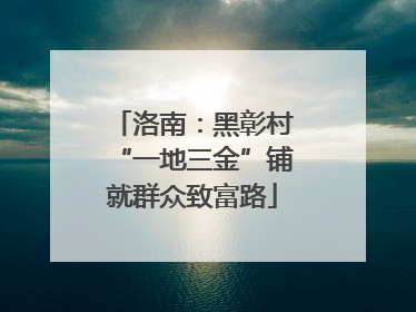 洛南：黑彰村“一地三金”铺就群众致富路