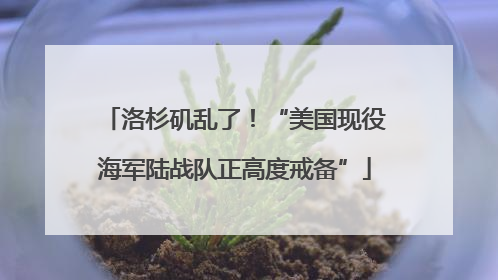 洛杉矶乱了！“美国现役海军陆战队正高度戒备”