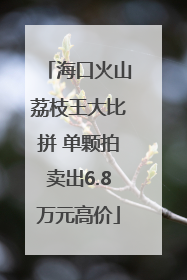 海口火山荔枝王大比拼 单颗拍卖出6.8万元高价