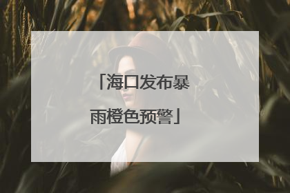 海口发布暴雨橙色预警