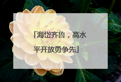 海岱齐鲁，高水平开放勇争先
