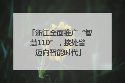 浙江全面推广“智慧110”，接处警迈向智能时代