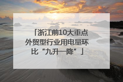 浙江前10大重点外贸型行业用电量环比“九升一降”