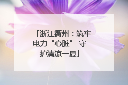 浙江衢州：筑牢电力“心脏” 守护清凉一夏