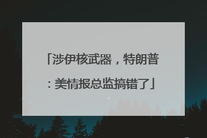 涉伊核武器，特朗普：美情报总监搞错了