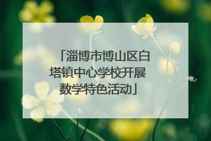 淄博市博山区白塔镇中心学校开展数学特色活动