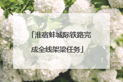 淮宿蚌城际铁路完成全线架梁任务