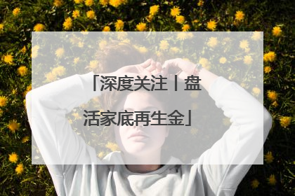 深度关注丨盘活家底再生金