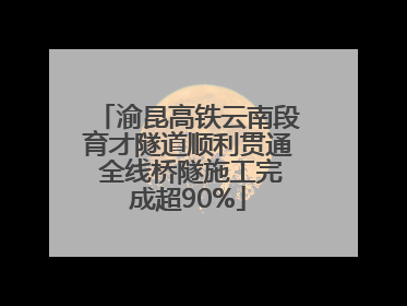 渝昆高铁云南段育才隧道顺利贯通 全线桥隧施工完成超90%