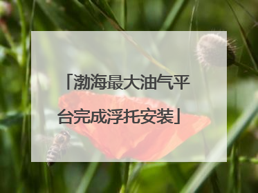 渤海最大油气平台完成浮托安装