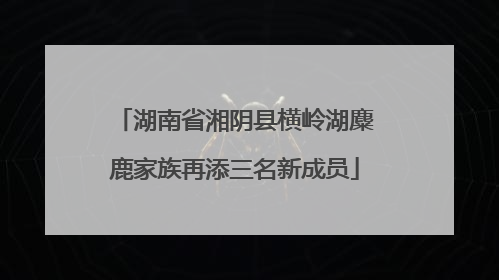湖南省湘阴县横岭湖麋鹿家族再添三名新成员