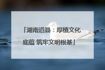 湖南道县：厚植文化底蕴 筑牢文明根基