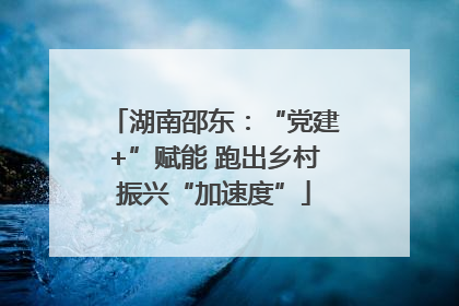 湖南邵东：“党建+”赋能 跑出乡村振兴“加速度”