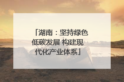 湖南：坚持绿色低碳发展 构建现代化产业体系