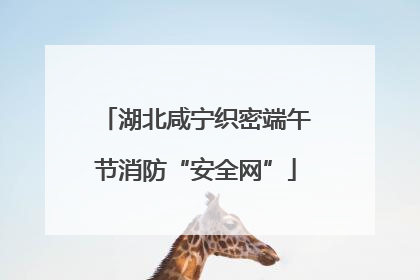 湖北咸宁织密端午节消防“安全网”