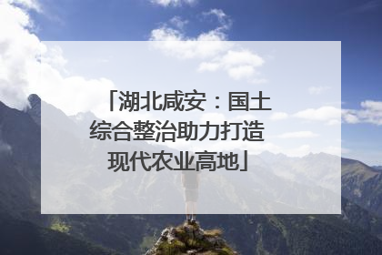 湖北咸安：国土综合整治助力打造现代农业高地