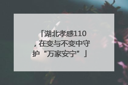 湖北孝感110，在变与不变中守护“万家安宁”